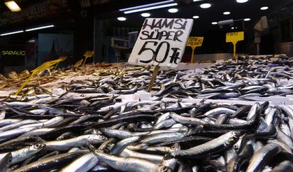 Karadeniz'de son 35 yılın en verimli hamsi sezonu