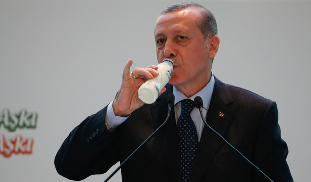 Cumhurbaşkanı Erdoğan: Milli içkimiz ayrandır dediğim için eleştirildim