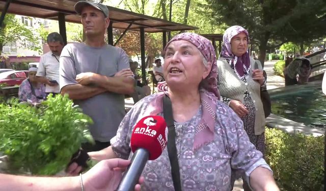 Zeytinlikler için nöbet