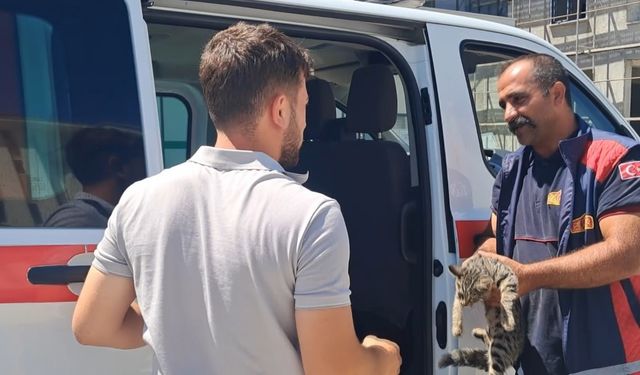Motor bölmesine sıkışan kediyi itfaiye ekipleri kurtardı