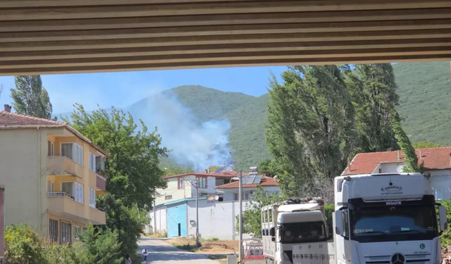 Bursa Orhangazi’de makilik alanda yangın