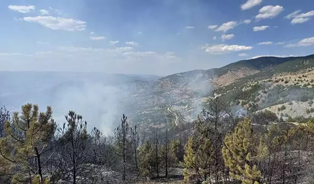 Çorum’un Çalyayla köyünde orman yangını