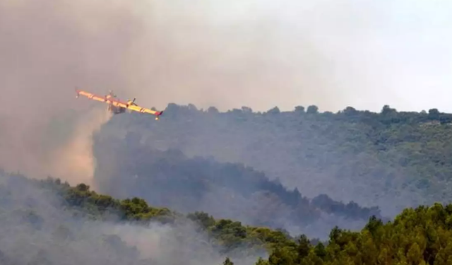 Fransa'nın Aude bölgesinde büyük orman yangını