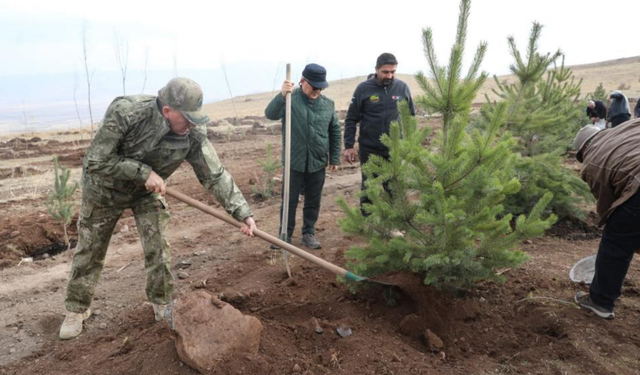 34 yıllık söz tutuldu: Şehit Üsteğmen’in hatırası fidanlarla yaşayacak