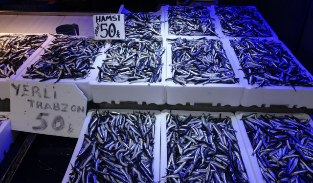 Trabzon’da hamsi bereketi: Tezgahlar dolu, fiyatlar uygun