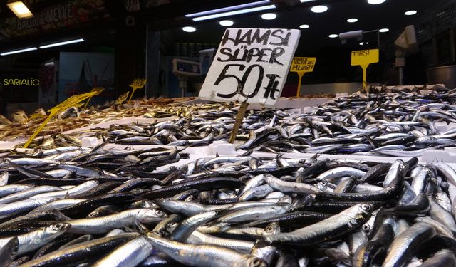 Karadeniz'de son 35 yılın en verimli hamsi sezonu