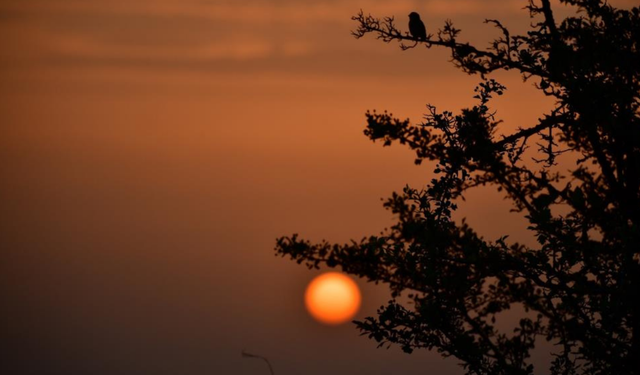 Kızılırmak Deltası sonbaharda büyüledi