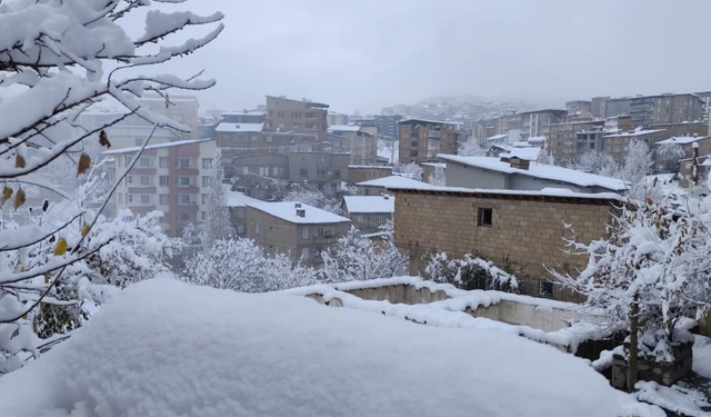 Hakkari'de kar 13 köy ve 30 mezra yolunu kapattı