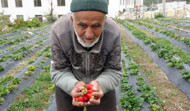 Türkiye’nin ‘Hayır Bahçesi’ ile tanıdığı hayırsever hayatını kaybetti