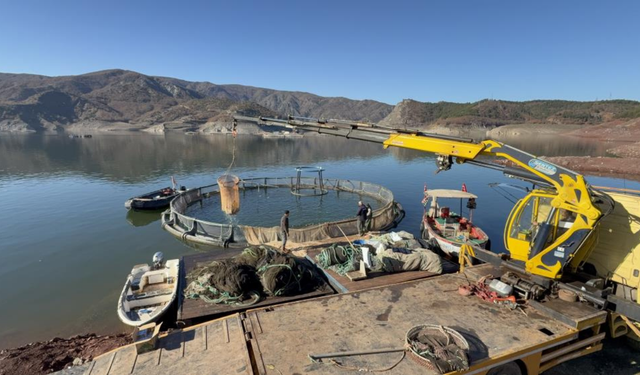 Almus Barajı’ndan Avrupa’ya Türk Somonu ihracatı