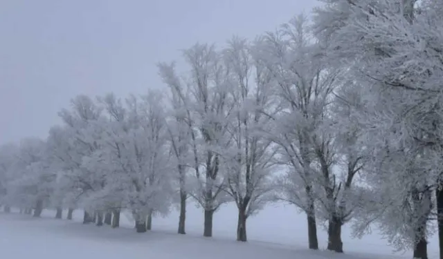 Termometreler eksi 30’u gördü: Türkiye’nin en soğuk yeri açıklandı