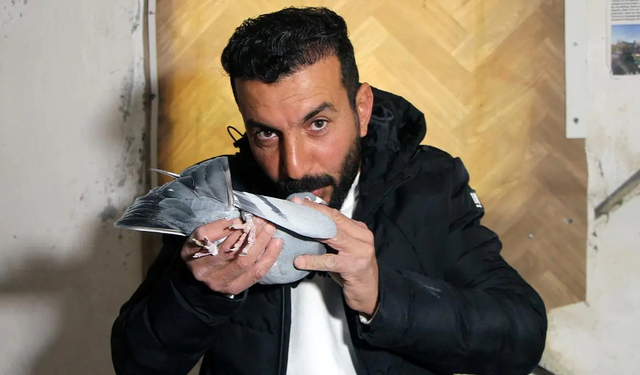 Kaybolan güvercini bulana 75 bin TL ödül