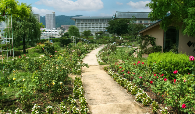 Hobi bahçelerine sınırlama getiren teklif Meclis’e sunuldu