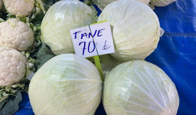 Beyaz lahana krizinde çifte kayıp: Ne çiftçi kazandı ne de tüketici ucuza yedi