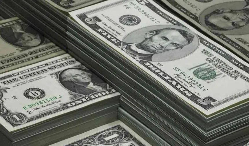 Merkez Bankası, 19 Mart'tan bu yana 52 milyar dolar sattı