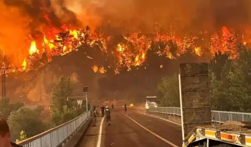 Altı noktada orman yangınları sürüyor