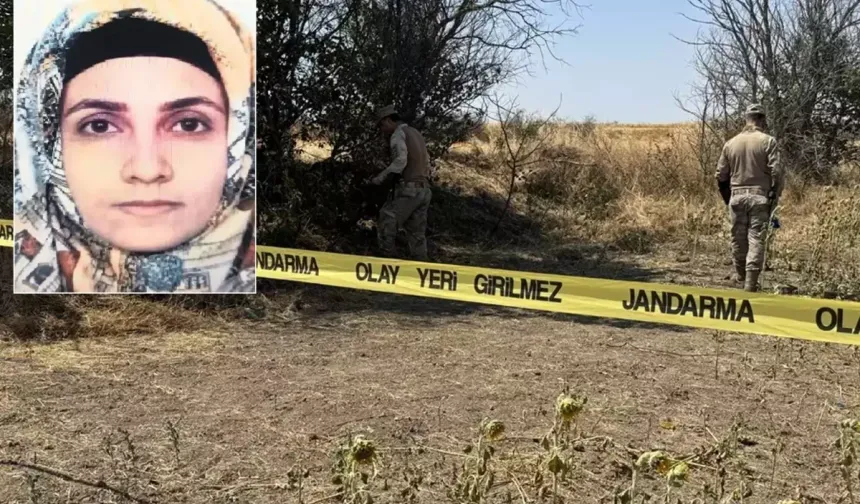 Tarlada başlayan yasak aşk, tarlada bitti