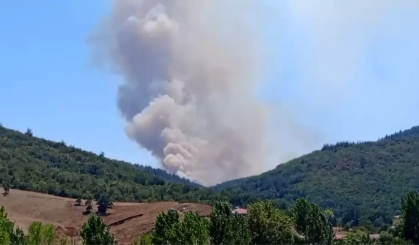 Bursa’da orman yangını: Ekipler müdahale ediyor