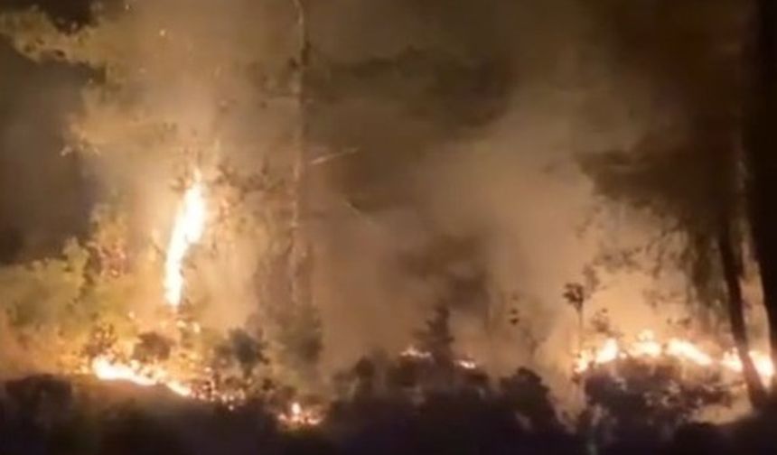 Muğla'daki orman yangını büyümeden kontrol altına alındı