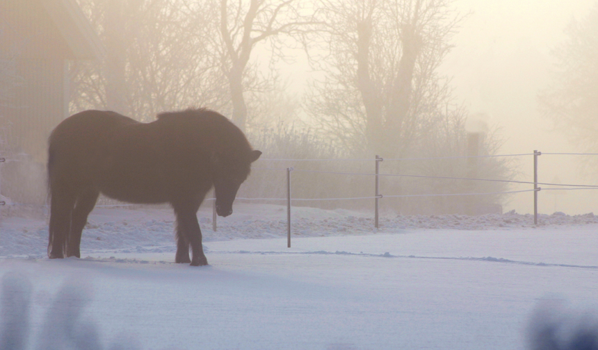 3 Aralık Meteoroloji uyardı: Sis ve pus için dikkatli olun!
