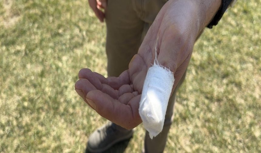 Karabük’te pitbull saldırısı: Kahraman servis şoförü müdahale etti