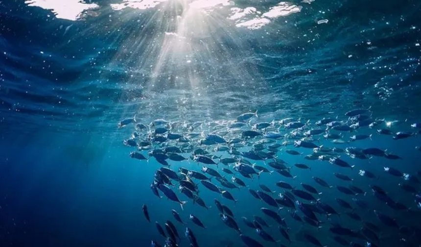 Türkiye, IOTC’de gözlemci ülke statüsü kazandı