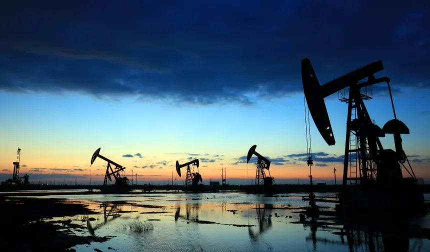 TPAO'dan Karadeniz'deki petrol sahası için ruhsat başvurusu