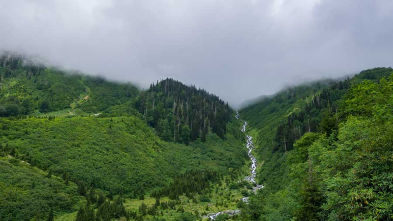 Artvin'in Doğal Ve Kültürel Zenginliklerinin Buluştuğu Noktalar!-2