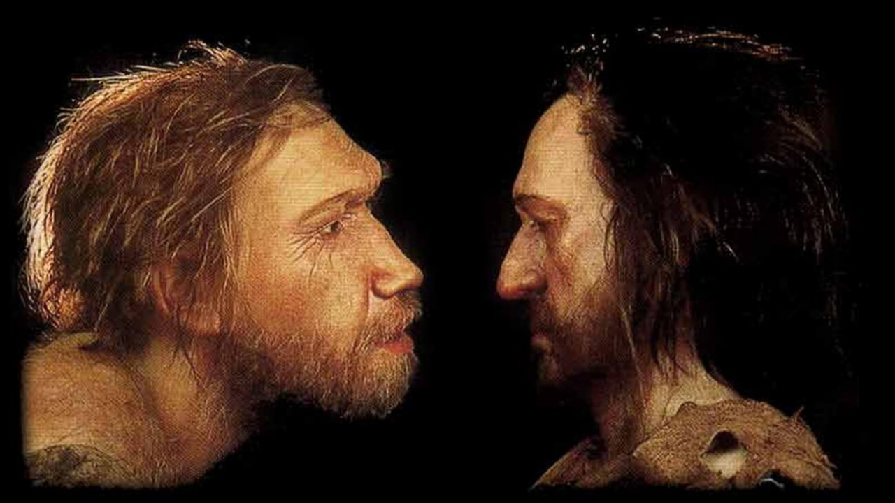 Cro Magnon Insanları, Modern Insanların Ataları Mı?