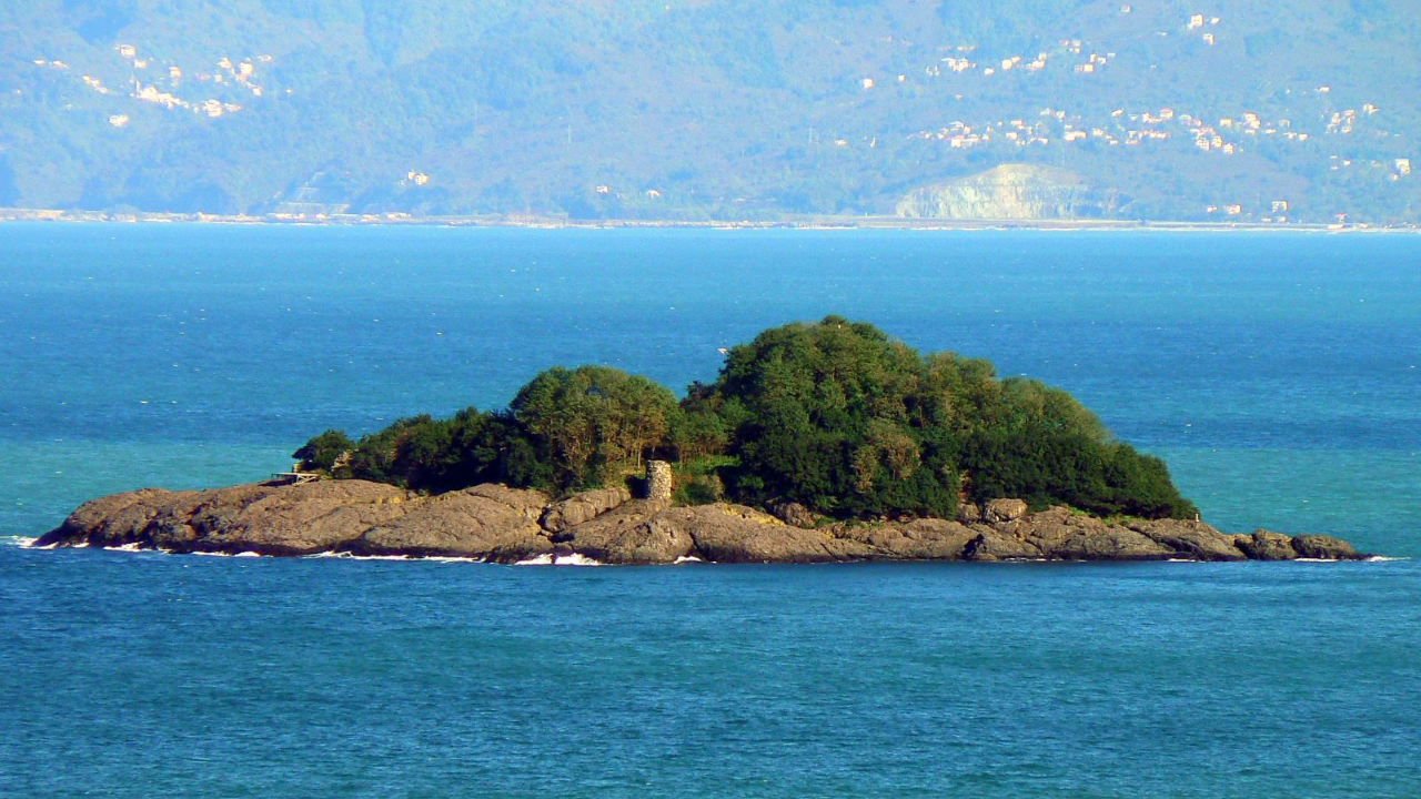 Gi̇resun Adasi