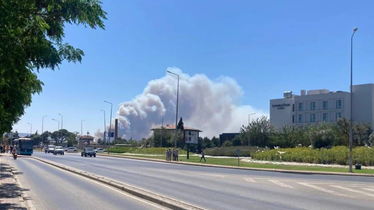 Bolu, Çanakkale, Manisa, Mersin Ve Aydın’da Orman Yangınları (4)