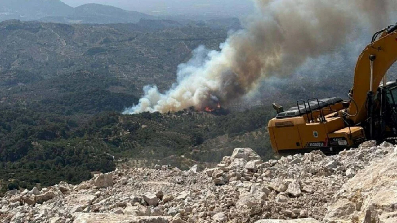 Bolu, Çanakkale, Manisa, Mersin Ve Aydın’da Orman Yangınları