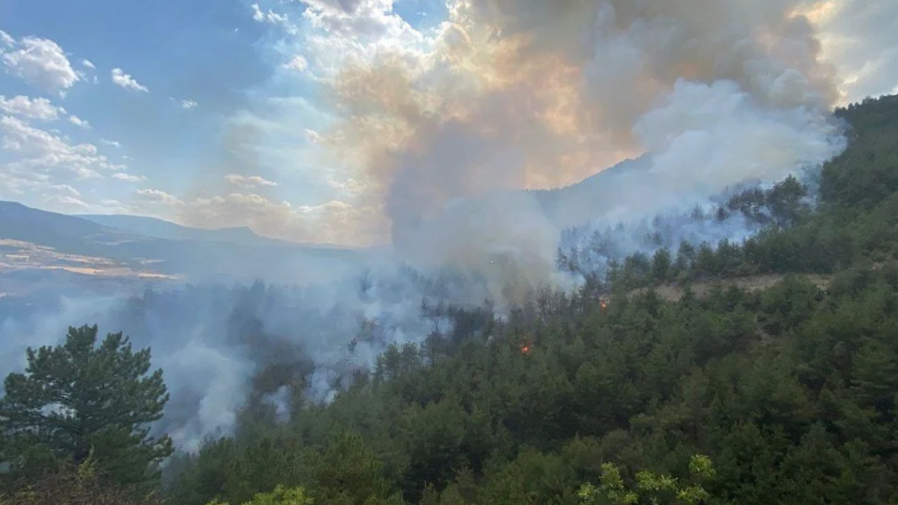 Karabük'te Orman Yangını Yeniden Alevlendi (3)