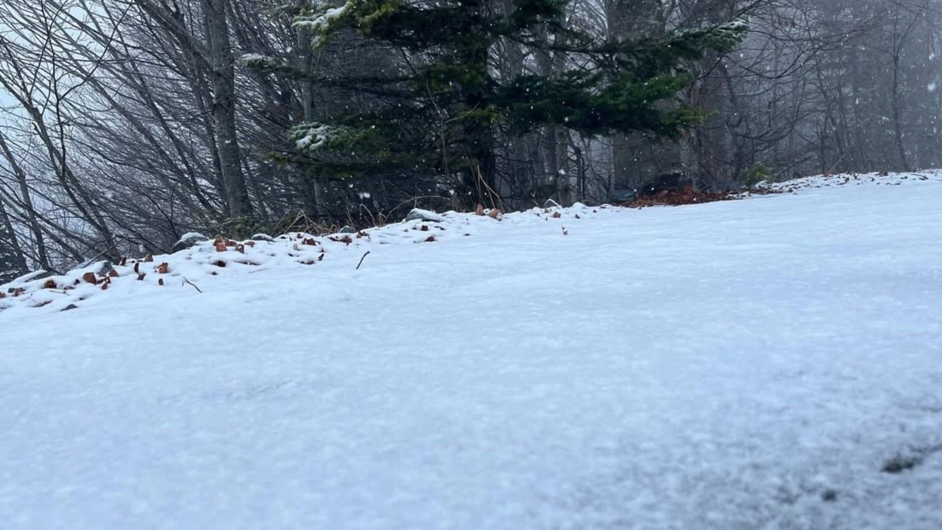 Kartepe Beyaza Büründü, Zirvede Kartpostallık Manzara Oluştu (1)